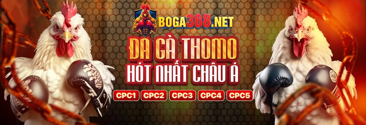 Sân đấu đá gà trực tuyến đầy kịch tính tại banca29
