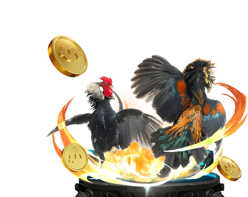 Cá cược đá gà banca29 tại Saobet