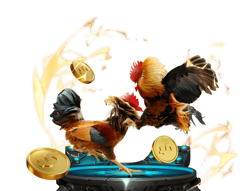 Máy đánh bạc Banca29 với nhiều chủ đề và jackpot hấp dẫn